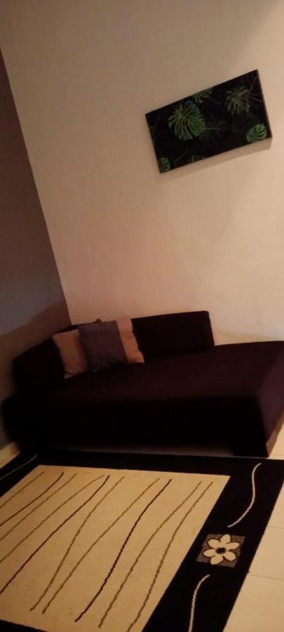 Belebar Studio Room Taman Negara Pahang Malaysia Kuala Tahan Exterior foto
